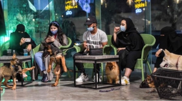 مقهى الكلاب دلال أحمد