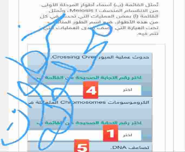 تمثل القائمة (ب) أسماء أطوار المرحلة الأولى من الانقسام المنصف | Meiosis ، وتمثل القائمة (أ) بعض العمليات التي تحدث في كل من هذه الأطوار. ضع اسم الطور المناسب تحت العبارة التي تصف إحدى العمليات التي تتم فيه