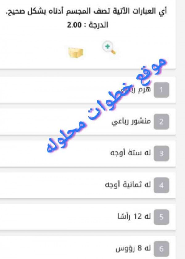 أي العبارات الآتية تصف المجسم أدناه بشكل صحيح. الدرجة : 2.00
