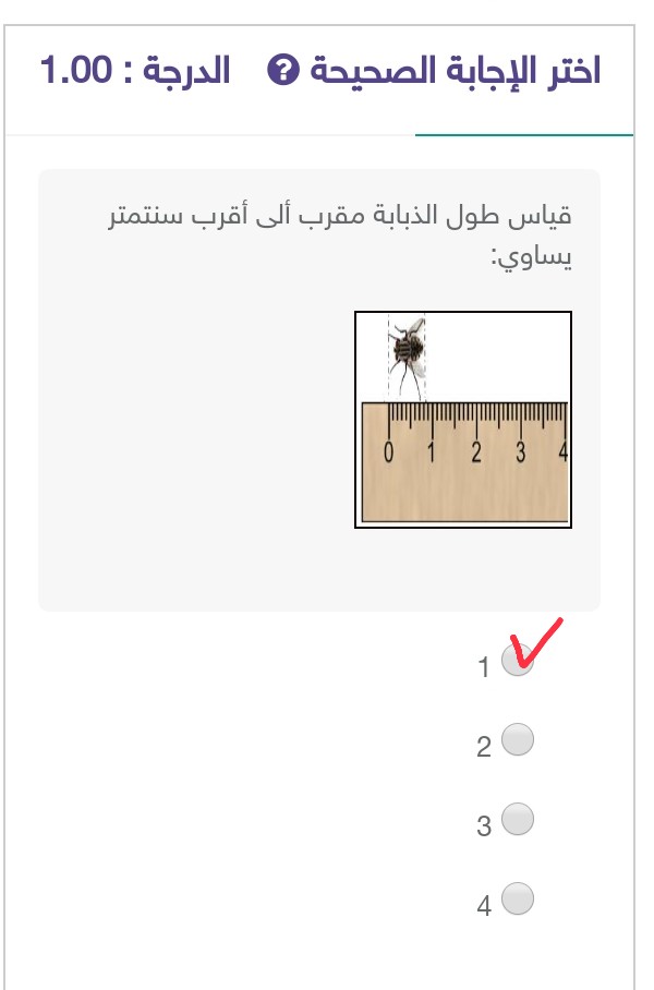 أختر الإجابة الصحيحة قياس طول الذبابة مقربة إلى أقرب سنتمتر يساوي :