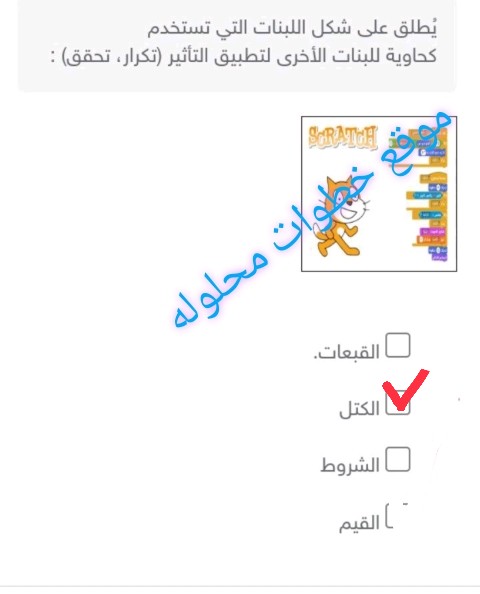 يطلق على شكل اللبنات التي تستخدم كحاوية للبنات الأخرى لتطبيق التأثير ( تكرار، تحقق) :