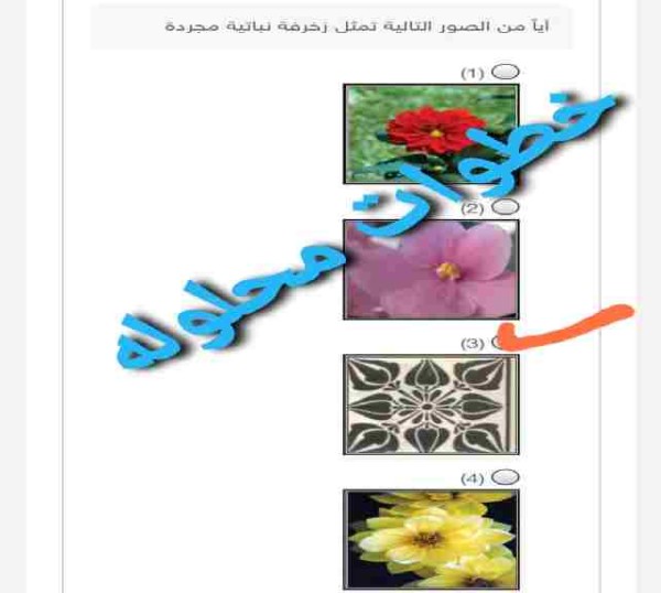 حل سؤال أياً من الصور التالية تمثل زخرفة نباتية مجردة (1)