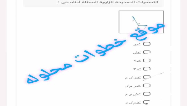 التسميات الصحيحة للزوايا الممثلة أدناه هي :