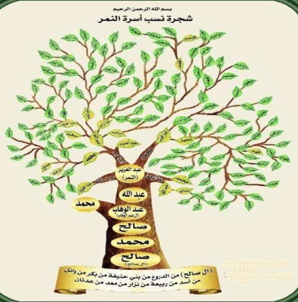 شجرة عائلة النمر وش يرجعون أسرة النمر