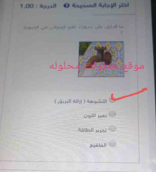 ما الدليل على حدوث تغير كيميائي في الصورة