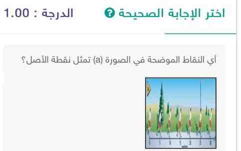 أي النقاط الموضحة في الصورة (a) تمثل نقطة الأصل 20 25 صفر 30؟