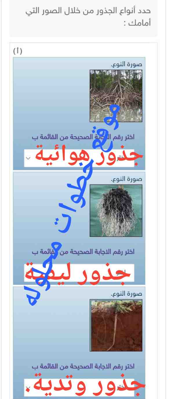 حدد أنواع الجذور من خلال الصور التي أمامك : (أ) صورة النوع. اختر رقم الاجابة الصحيحة من القائمة ب اختر