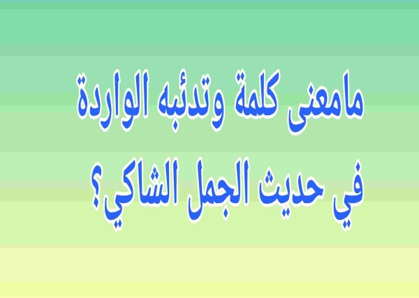مامعنى كلمة وتدئبه الواردة في حديث الجمل الشاكي؟