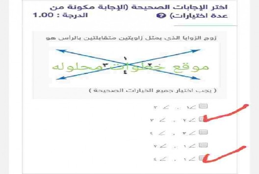 زوج الزوايا الذي يمثل زاويتين متقابلتين بالرأس هو