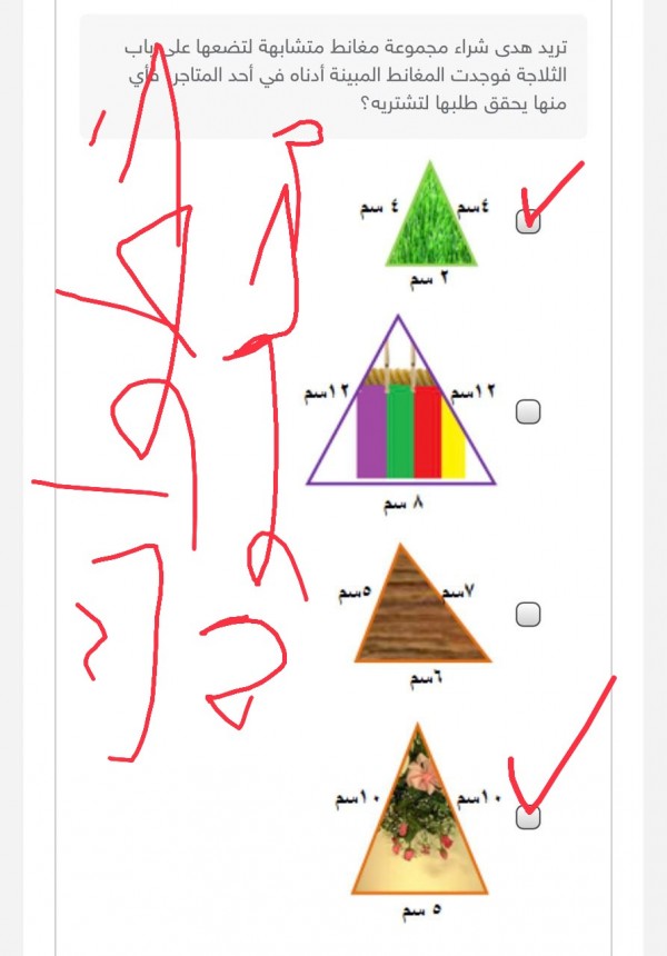 أختر الإجابة الصحيحة تريد هدى شراء مجموعة مغانط متشابهة لتضعها على باب الثلاجة فوجدت المغانط المبينة ادناه في أحد المتاجر فأي منها يحقق طلبها لتشتريه؟