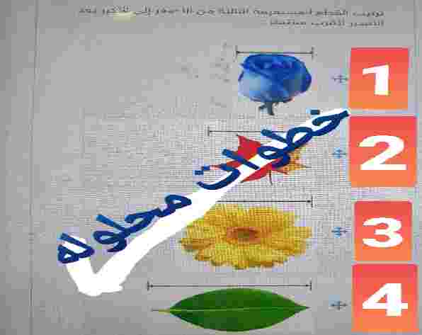 ما هو ترتيب القطع المستقيمة التالية من الأصغر إلى الأكبر بعد التقدير لأقرب سنتمتر :