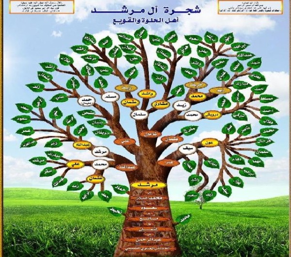 شجرة آل مرشد عائلة ال مرشد وش يرجعون