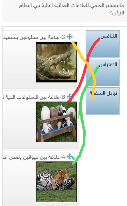 ما التفسير العلمي للعلاقات الغذائية التالية في النظام البيئي؟