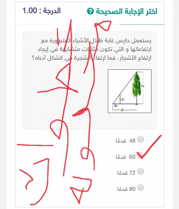 إجابة سؤال أختر الإجابة الصحيحة يستعمل حارس غابة ظلال الأشياء المتجاورة مع ارتفاعاتها تكون والتي تكون مثلثات متشابهة في إيجاد ارتفاع الأشجار فما إرتفاع الشجرة في الشكل أدناه الجواب إرتفاع الشجرة في الشكل أدناه يساوي 60 قدماً.