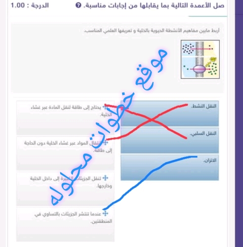 صل الأعمدة التالية بما يقابلها من إجابات مناسبة : أربط مابين مفاهيم الأنشطة الحيوية بالخلية وتعريفها العلمي المناسب