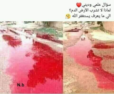 حل سؤال لماذا لا تشرب الأرض الدم علميا ودينيا؟