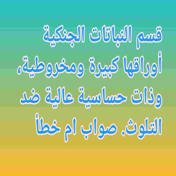 قسم النباتات الجنكية أوراقها كبيرة ومخروطية، وذات حساسية عالية ضد التلوث. صواب ام خطأ