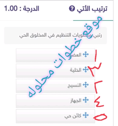 رتبي مستويات التنظيم في المخلوق الحي؟