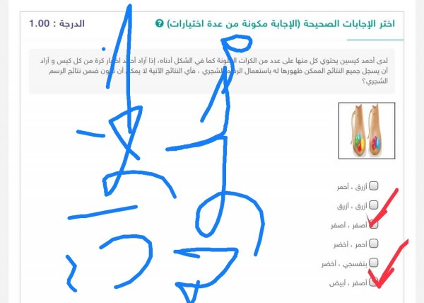 لدى أحمد كيسين يحتوي كل منها على عدد من الكرات الملونة كما في الشكل أدناه إذا أراد أحمد اختيار كرة من كل كيس و أراد أن يسجل جميع النتائج الممكن ظهورها له باستعمال الرسم الشجري فأي النتائج الآتية لا يمكن أن تكون ضمن نتائج الرسم الشجري