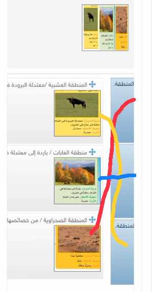 صل الأعمدة التالية بما يقابلها من إجابات مناسبه ما المناطق الحيوية التي تظهر في الصور؟ صف النباتات والحيوانات لكل منطقة