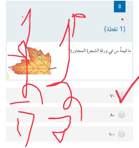 أختر الإجابة الصحيحة ما قيمة س في ورقة الشجرة المجاورة؟ سادس ابتدائي.