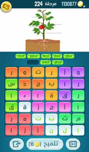 لعبة كلمات كراش مرحلة 224 التحديث الجديد